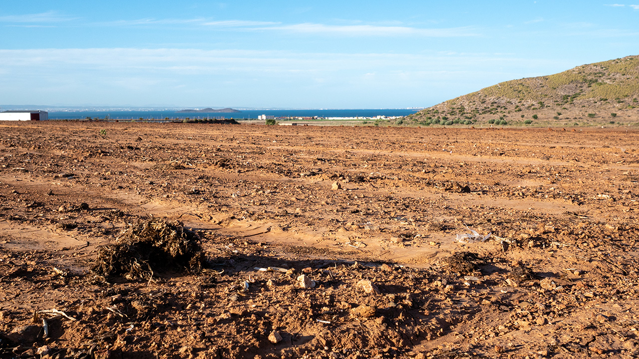 Parcela agrícola situada junto al Mar Menor con restos de abono orgánico.