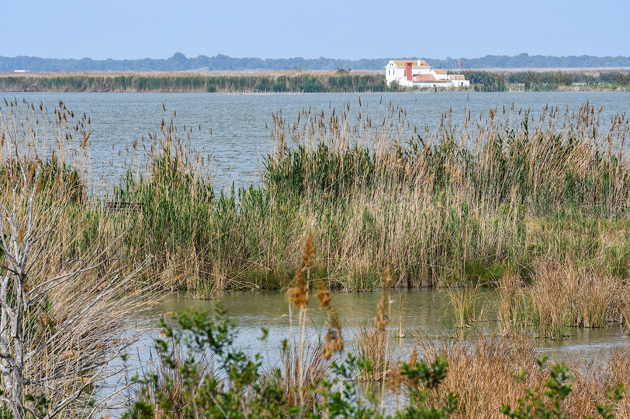 L’Albufera de Valencia