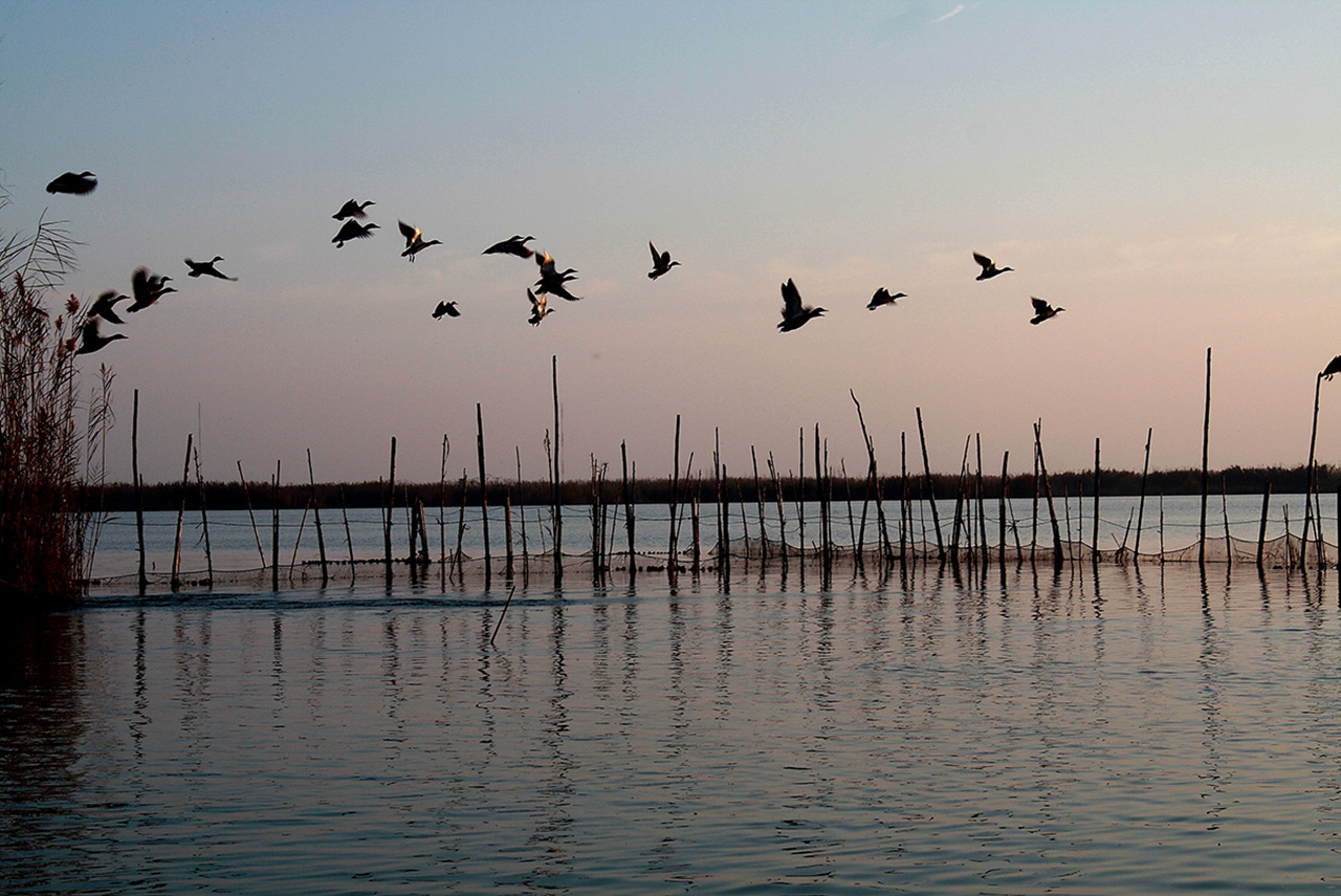 Albufera de Valencia