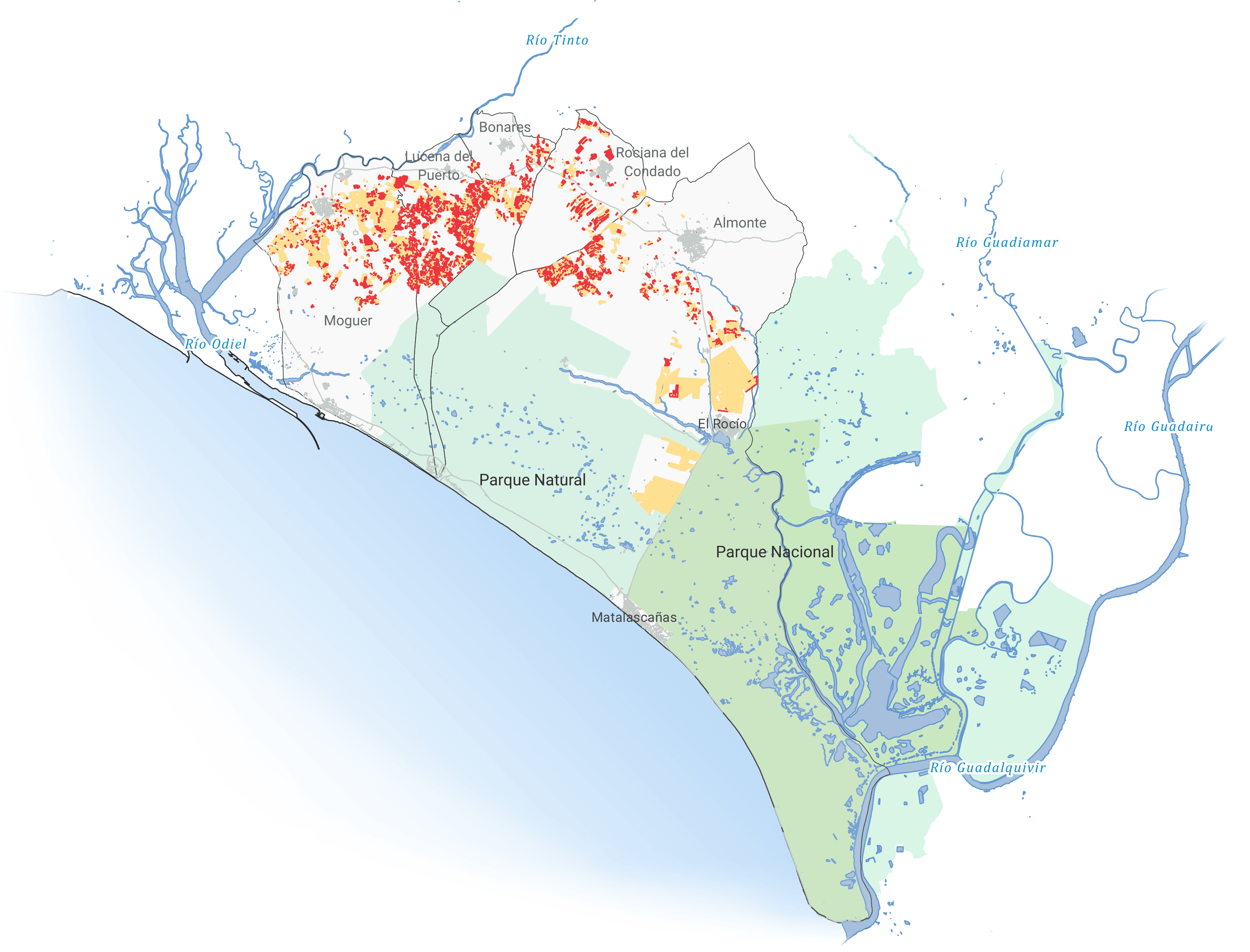 Situación de los cultivos regados en la Corona Norte de Doñana