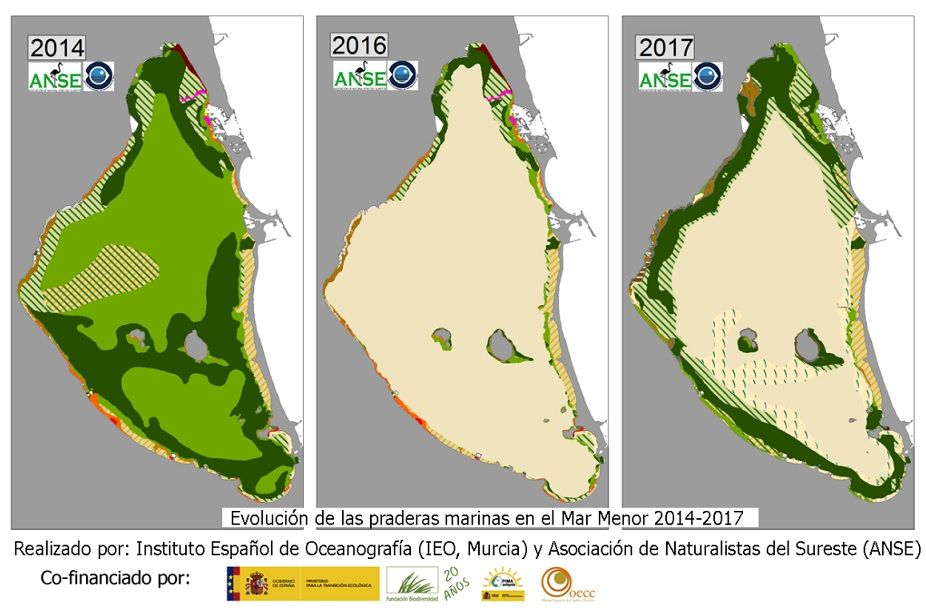Evolución de las praderas marinas en el Mar Menor entre 2014 y 2017