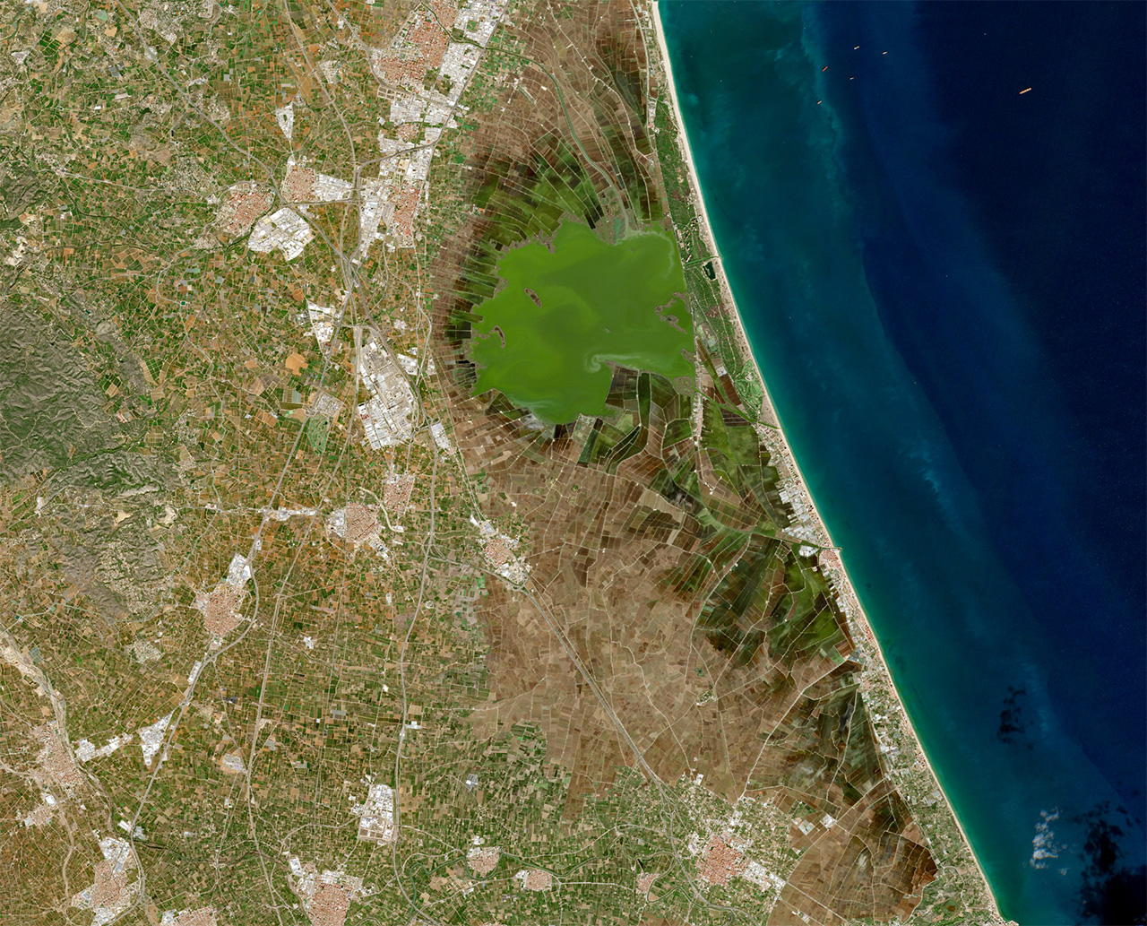 Imagen de satélite de la Albufera el 26 de octubre de 2024