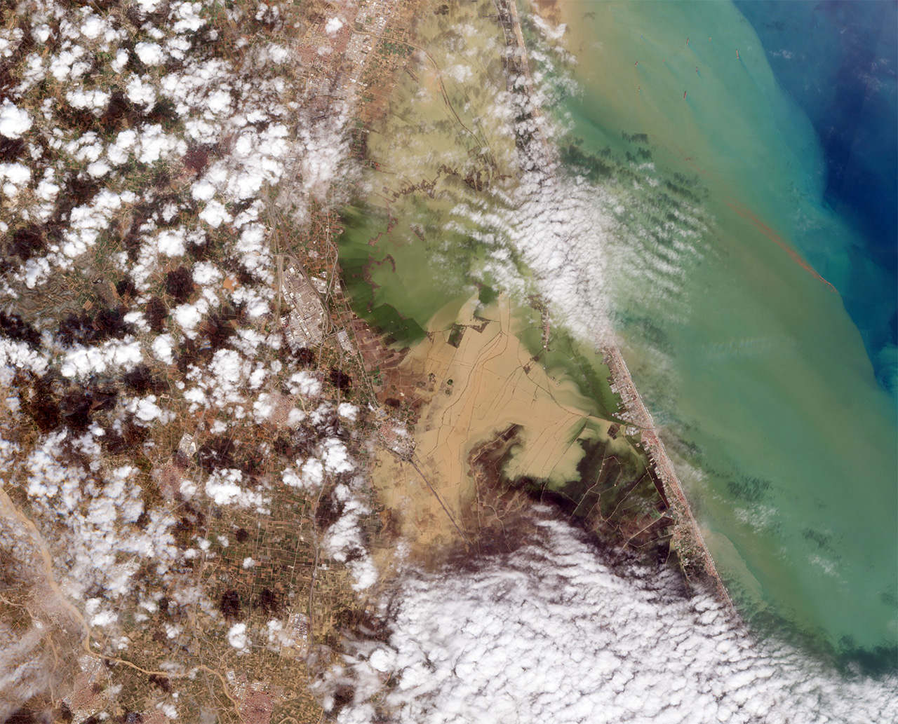 Imagen de satélite de la Albufera el 31 de octubre de 2024