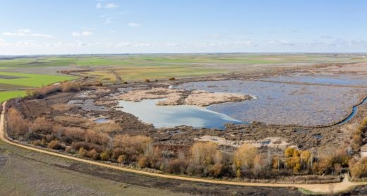 FNG insiste a la Junta de Castilla y León en que incluya la conservación de los humedales en su Plan Estratégico