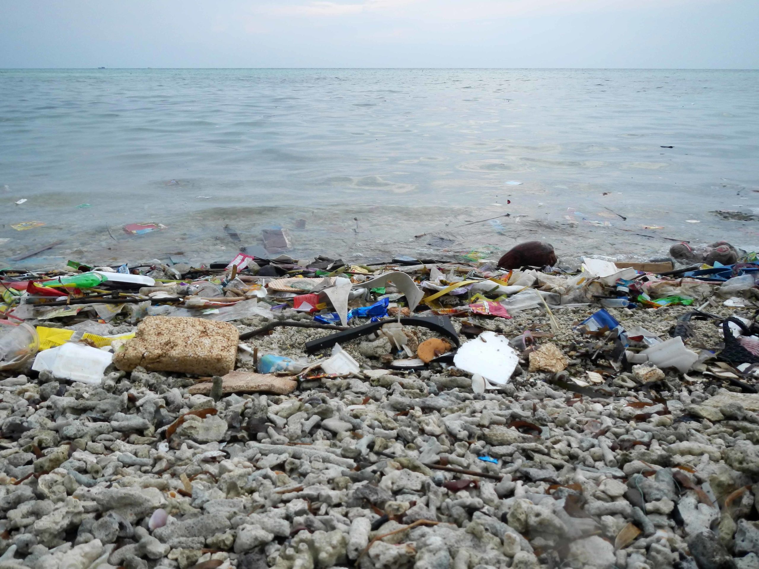 Qué puedes hacer para evitar el consumo de plásticos?