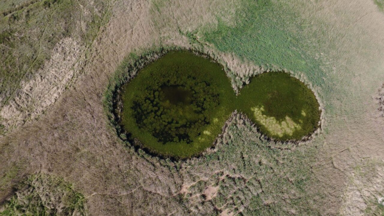 Humedales