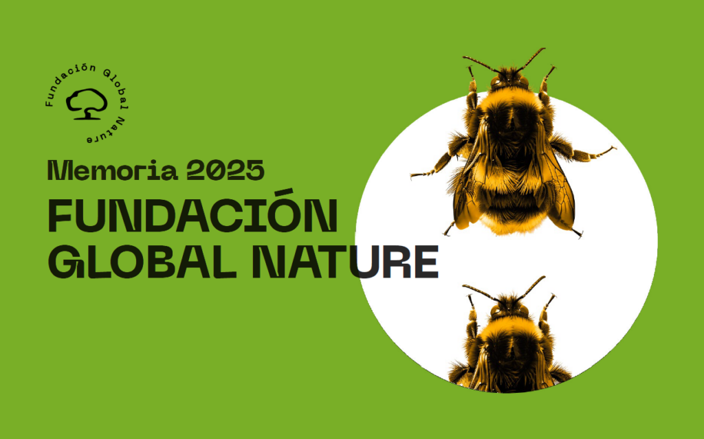 Memoria Anual 2025