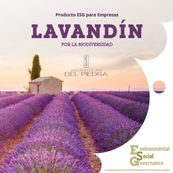 Lavandín por la biodiversidad