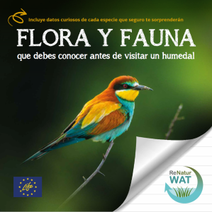 guia_flora_fauna_humedales