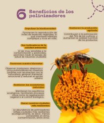 polinizadores